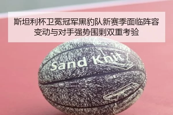 斯坦利杯卫冕冠军黑豹队新赛季面临阵容变动与对手强势围剿双重考验